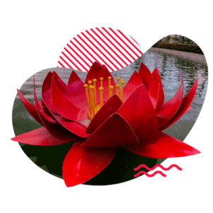 Columbario Flor de Loto  <br /> <br />