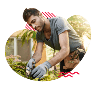 Siembra de jardinería y mantenimiento <br /><br />